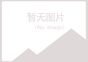 岳池县靖易能源有限公司